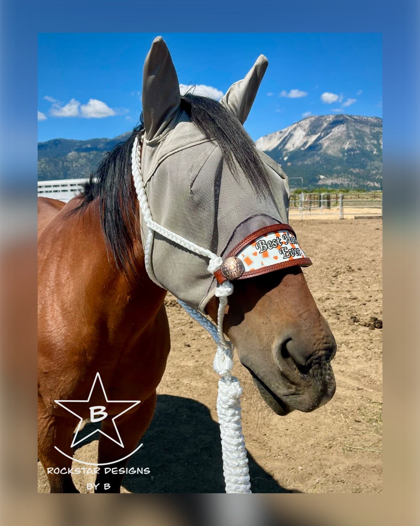 *Made to Order* - ‘Nose-less’ Muletape Halter w/Removable 10’ Lead - 1 Color - Average Horse