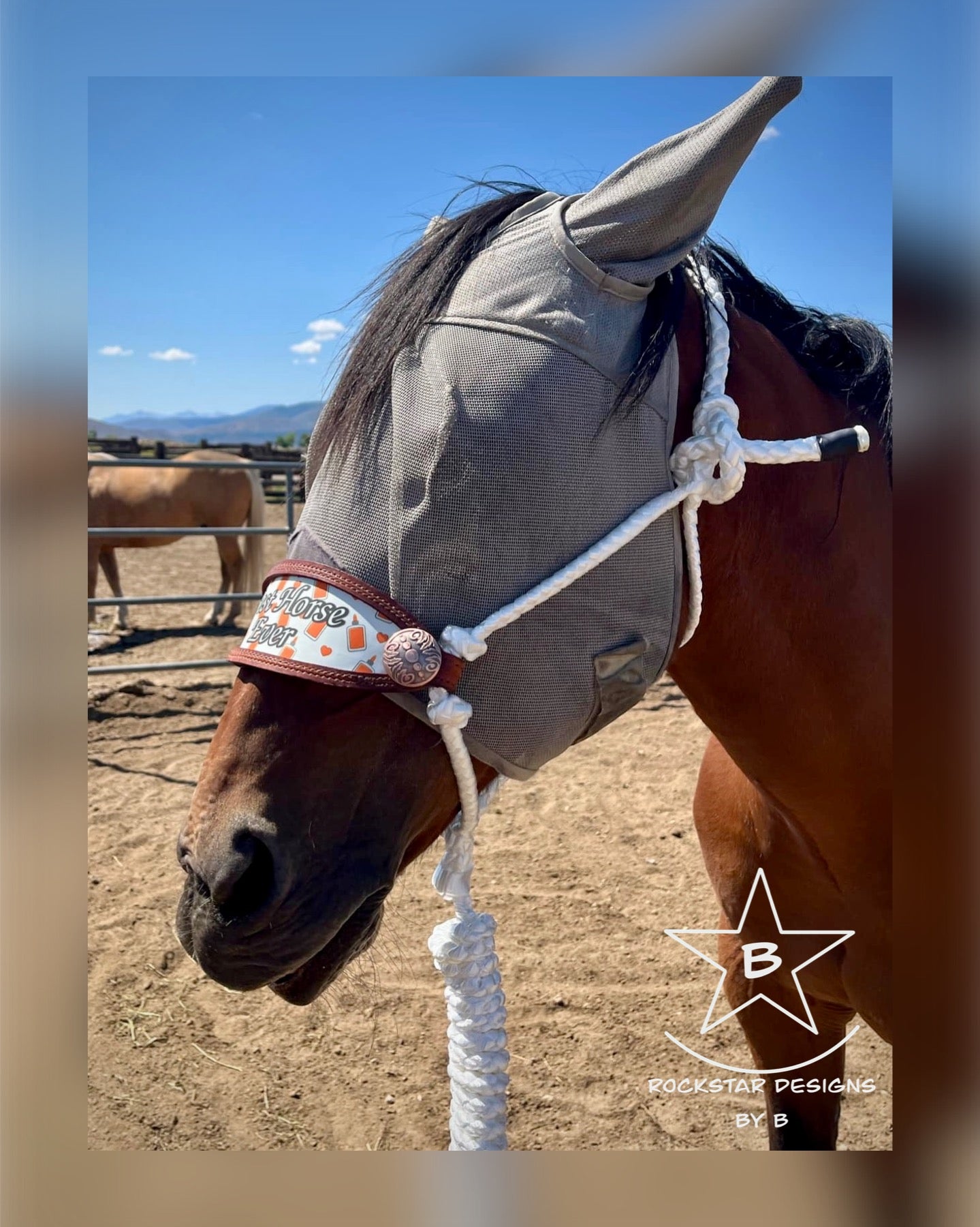*Made to Order* - ‘Nose-less’ Muletape Halter w/Removable 10’ Lead - 1 Color - Average Horse