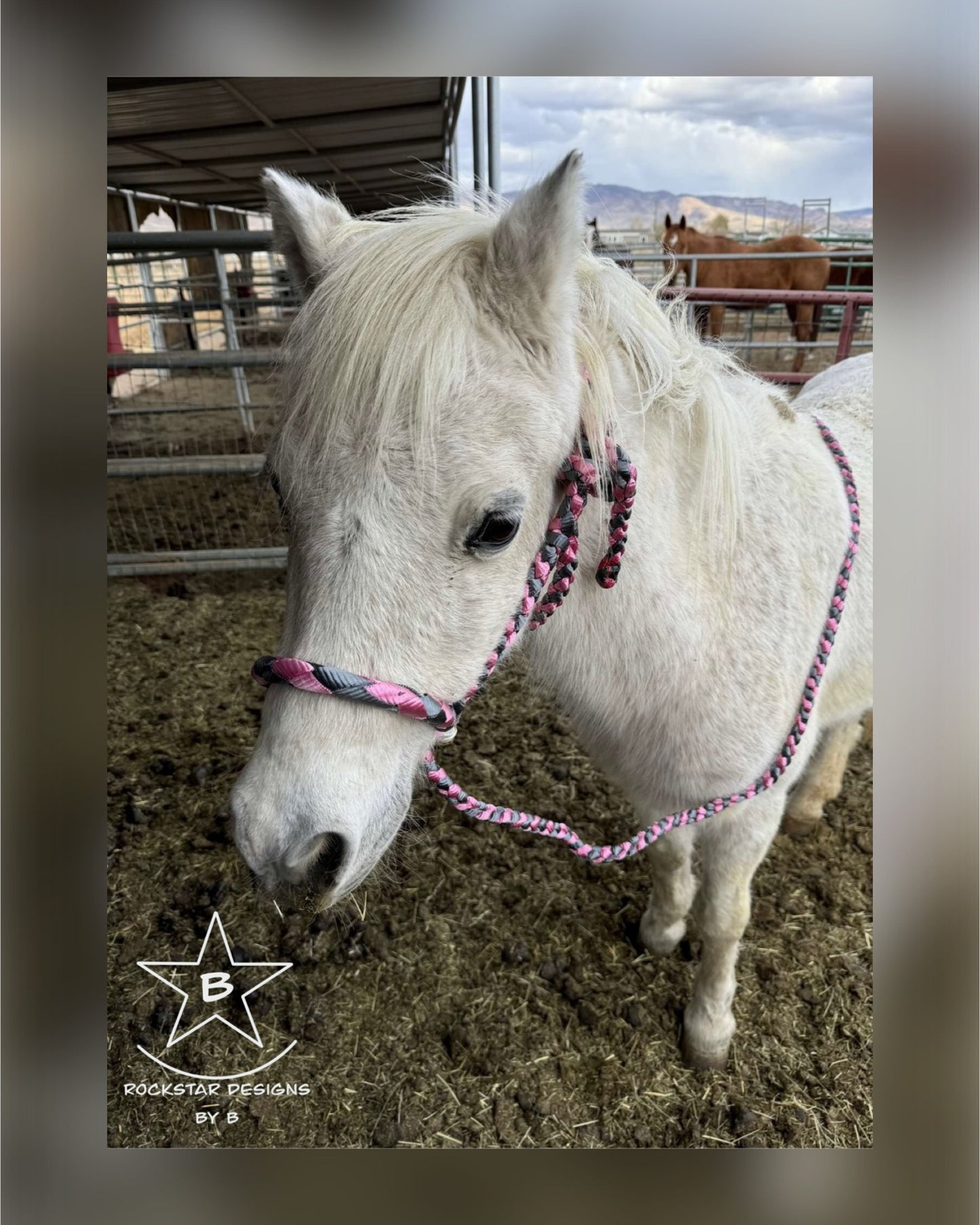 *Made to Order* - PONY Muletape Lariat Halter w/9’ Lead - 2 Color