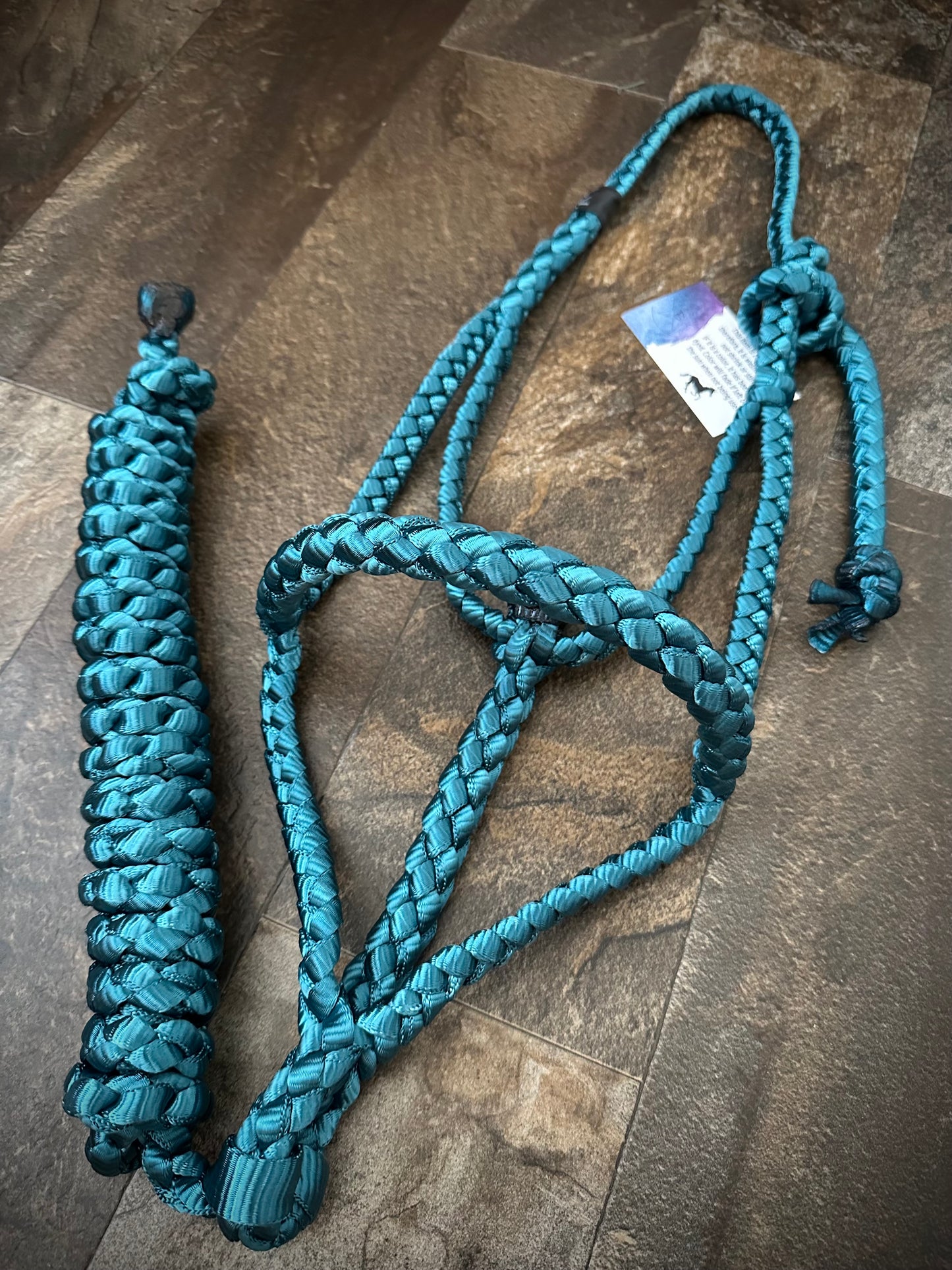 Rolled Nose Muletape Halter w/Removable 10’ Lead - Teal - RTS