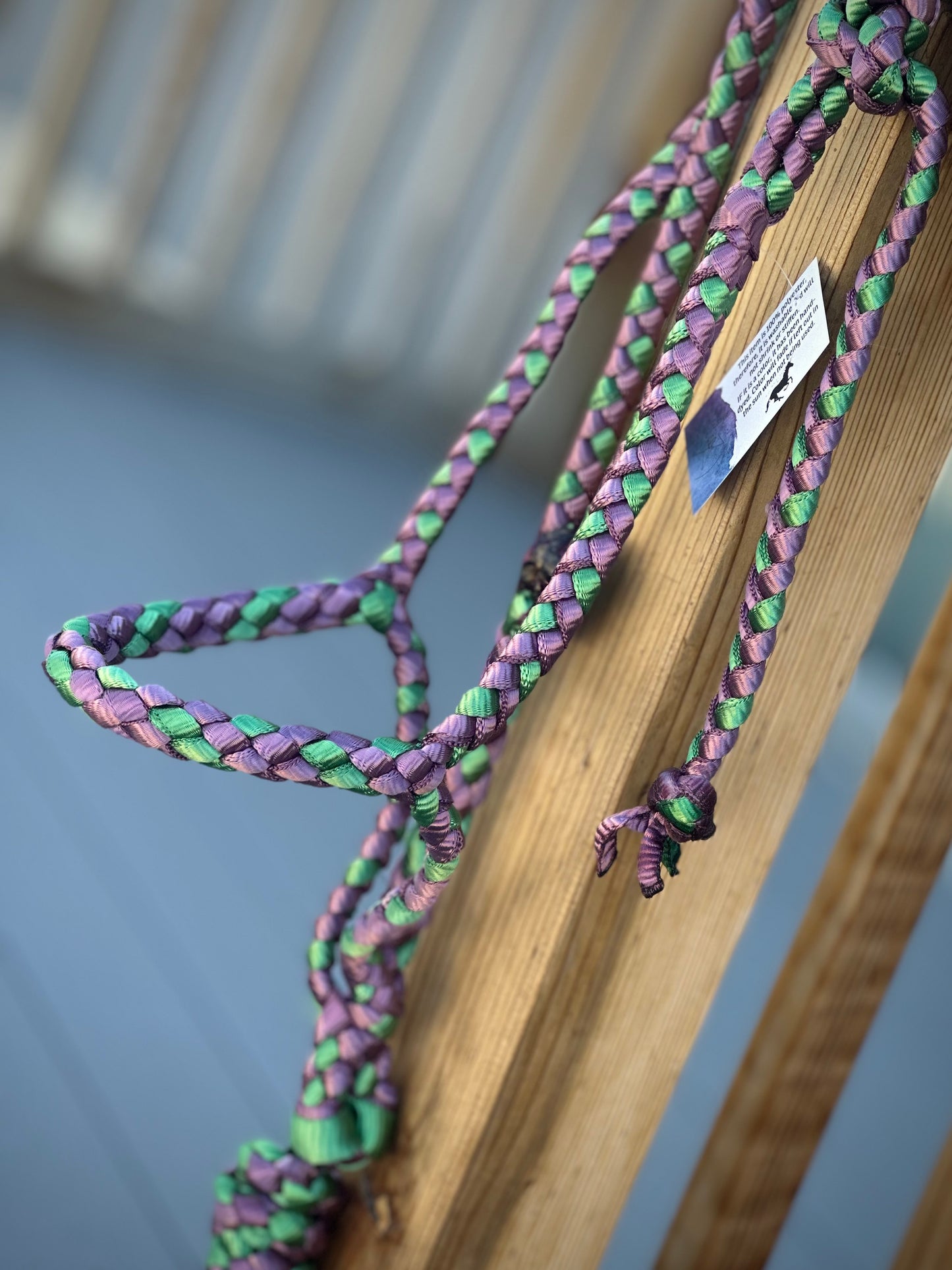 Rolled Nose Muletape Halter w/Removable 10’ Lead - Plumb Wine & Green - RTS