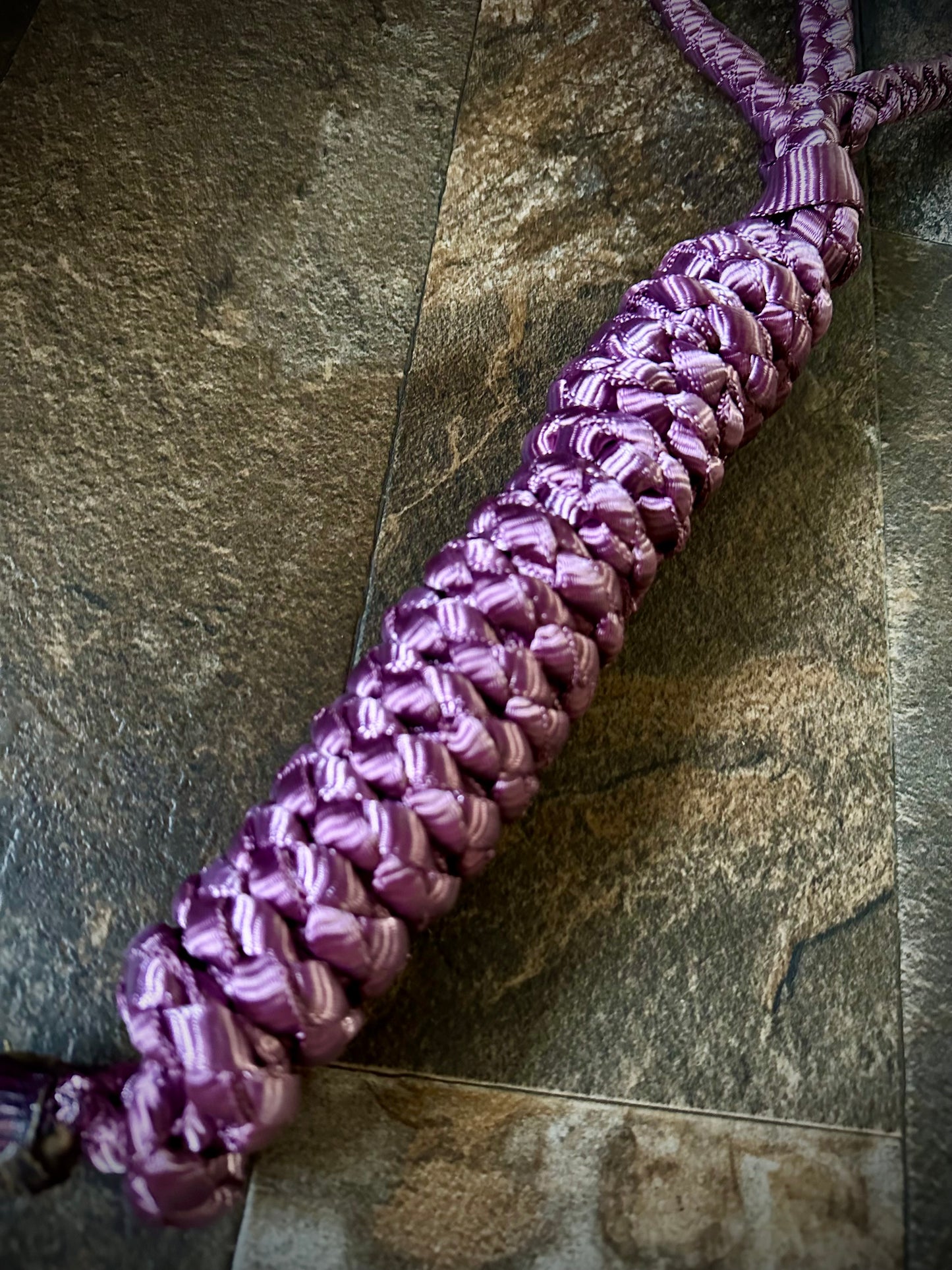 *Made to Order* - PONY Muletape Lariat Halter w/10’ Lead - 1 Color