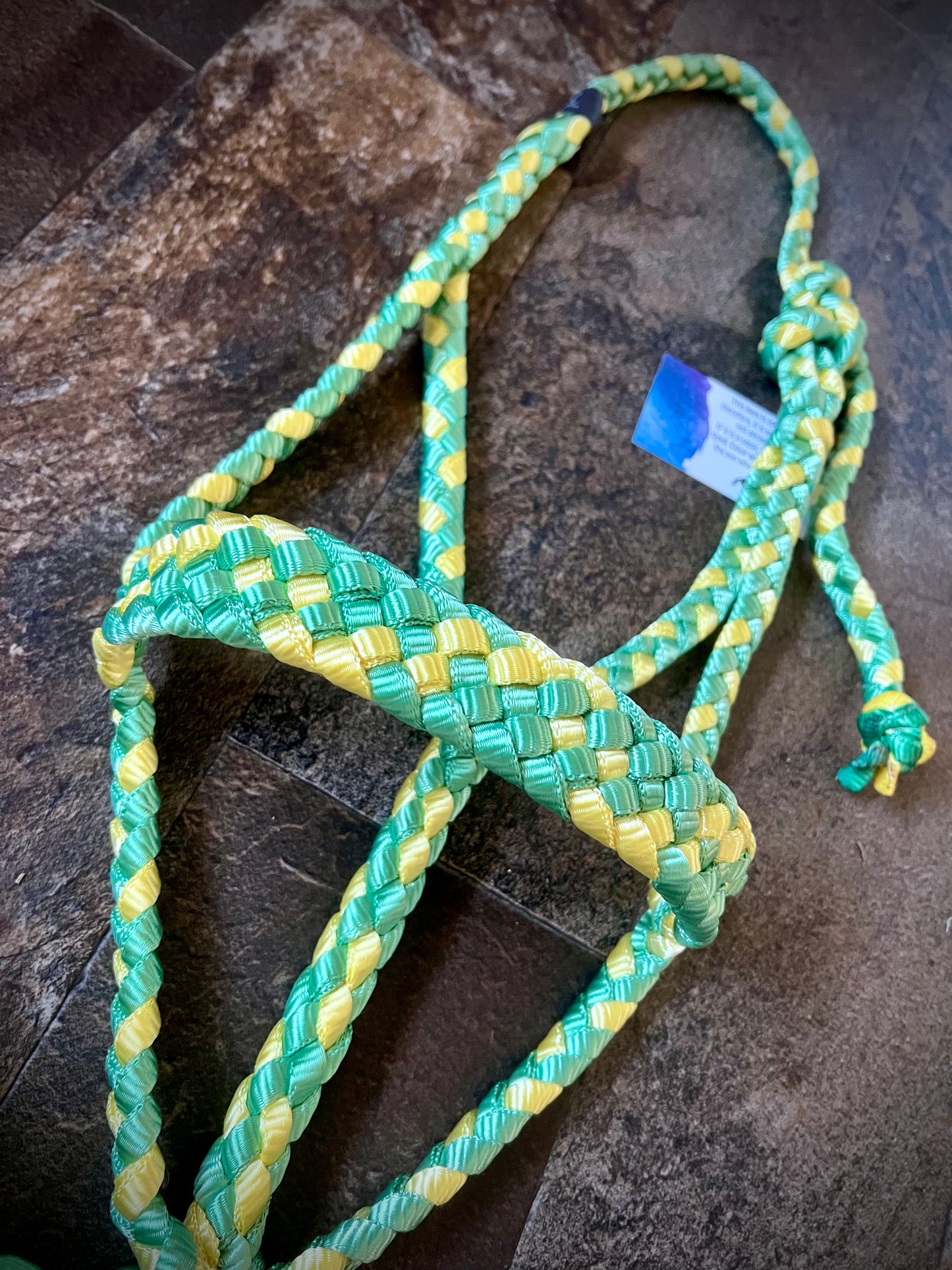 Muletape Halter w/Removable 10’ Lead - Green & Yellow