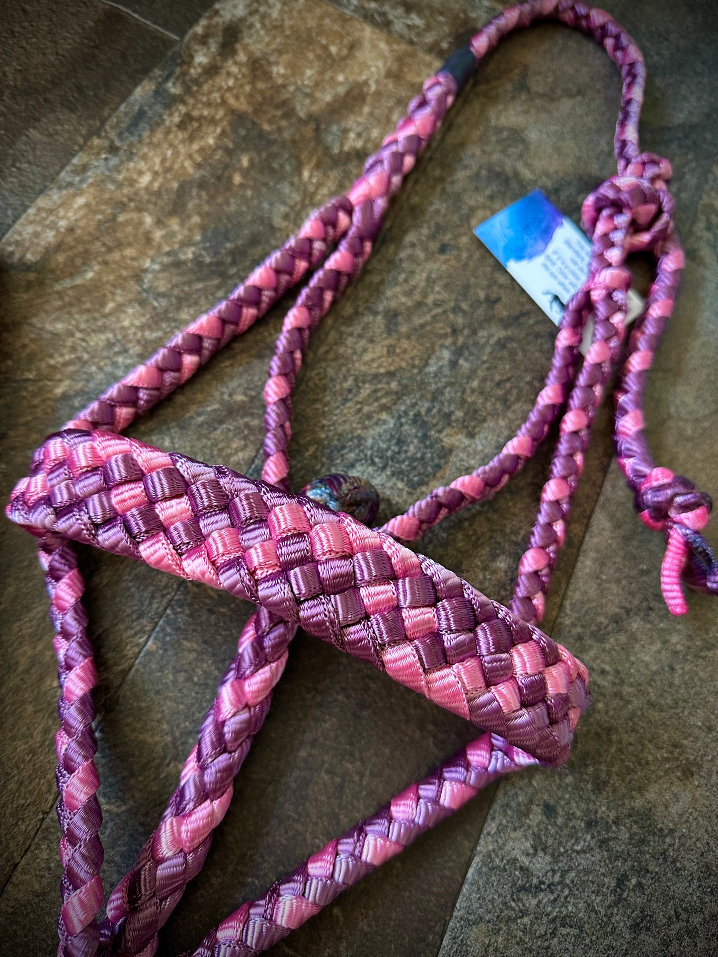 Muletape Halter w/Removable 10’ Lead - Wine & Pink