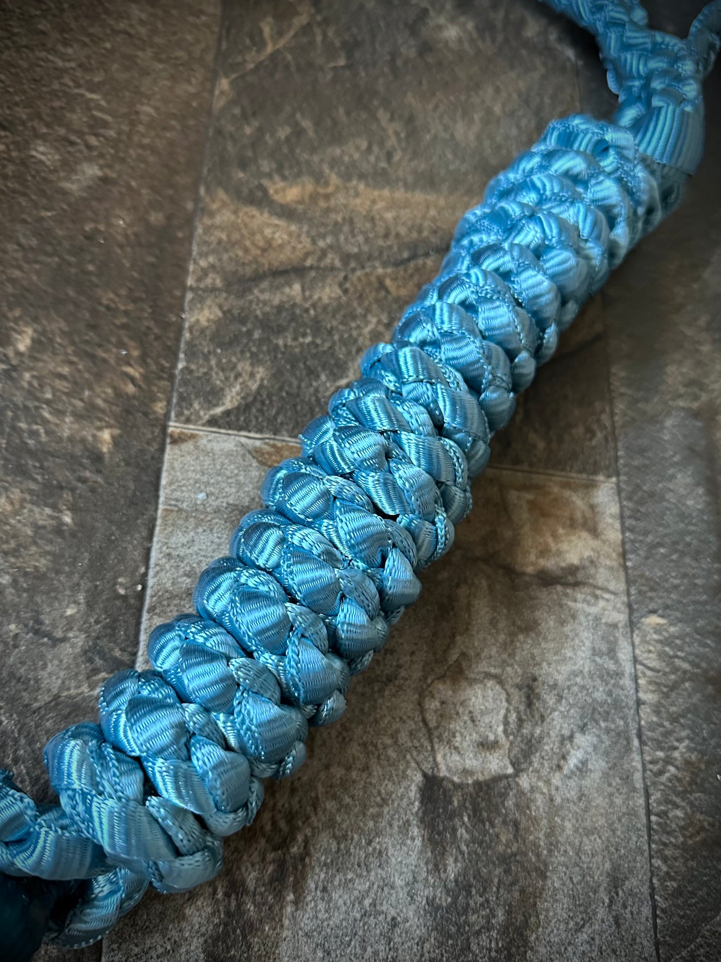 Muletape Halter w/Removable 10’ Lead - Teal/Blue