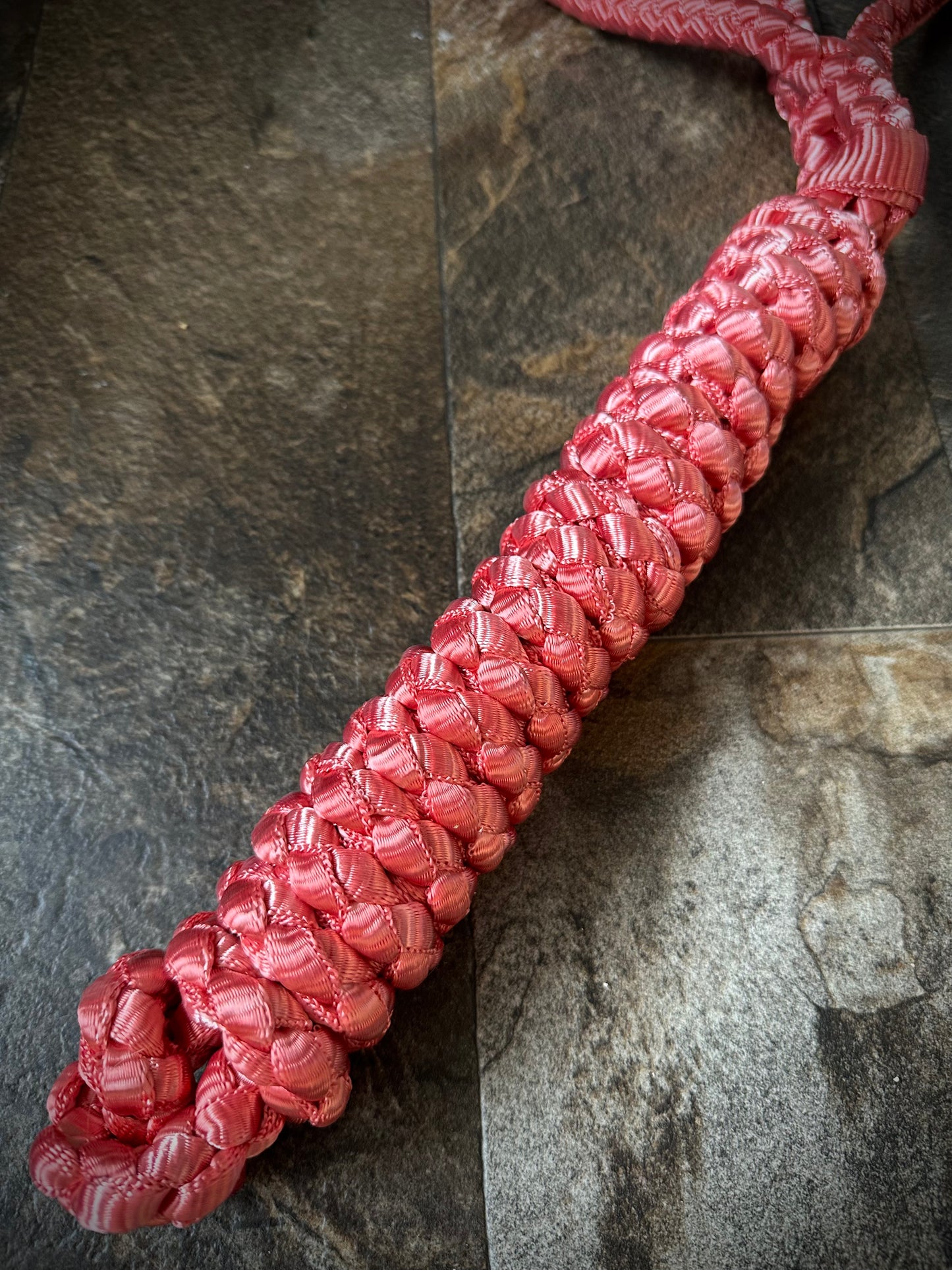 Muletape Halter w/Removable 10’ Lead - Rosy Red