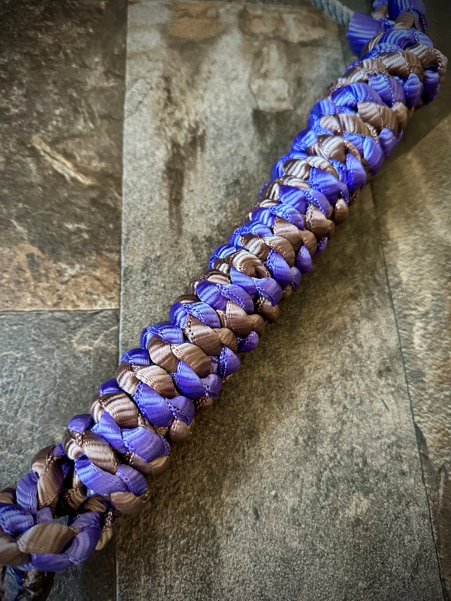 Lariat Nose Muletape Halter - Purple & Brown