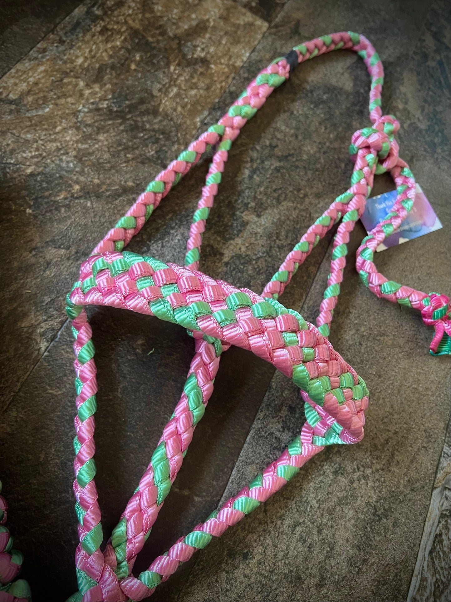 Muletape Halter w/Removable 10’ Lead - Pink & Green