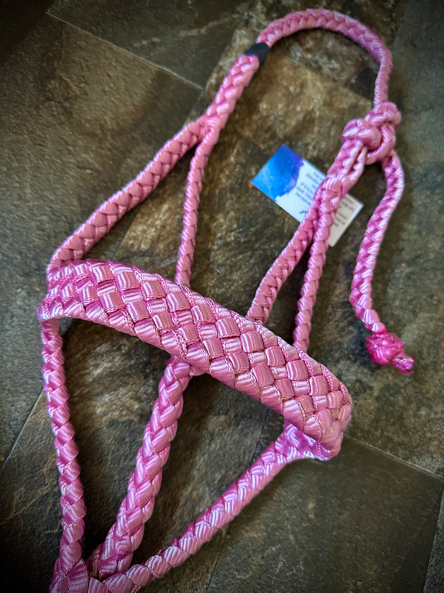 Muletape Halter w/Removable 10’ Lead - Pink