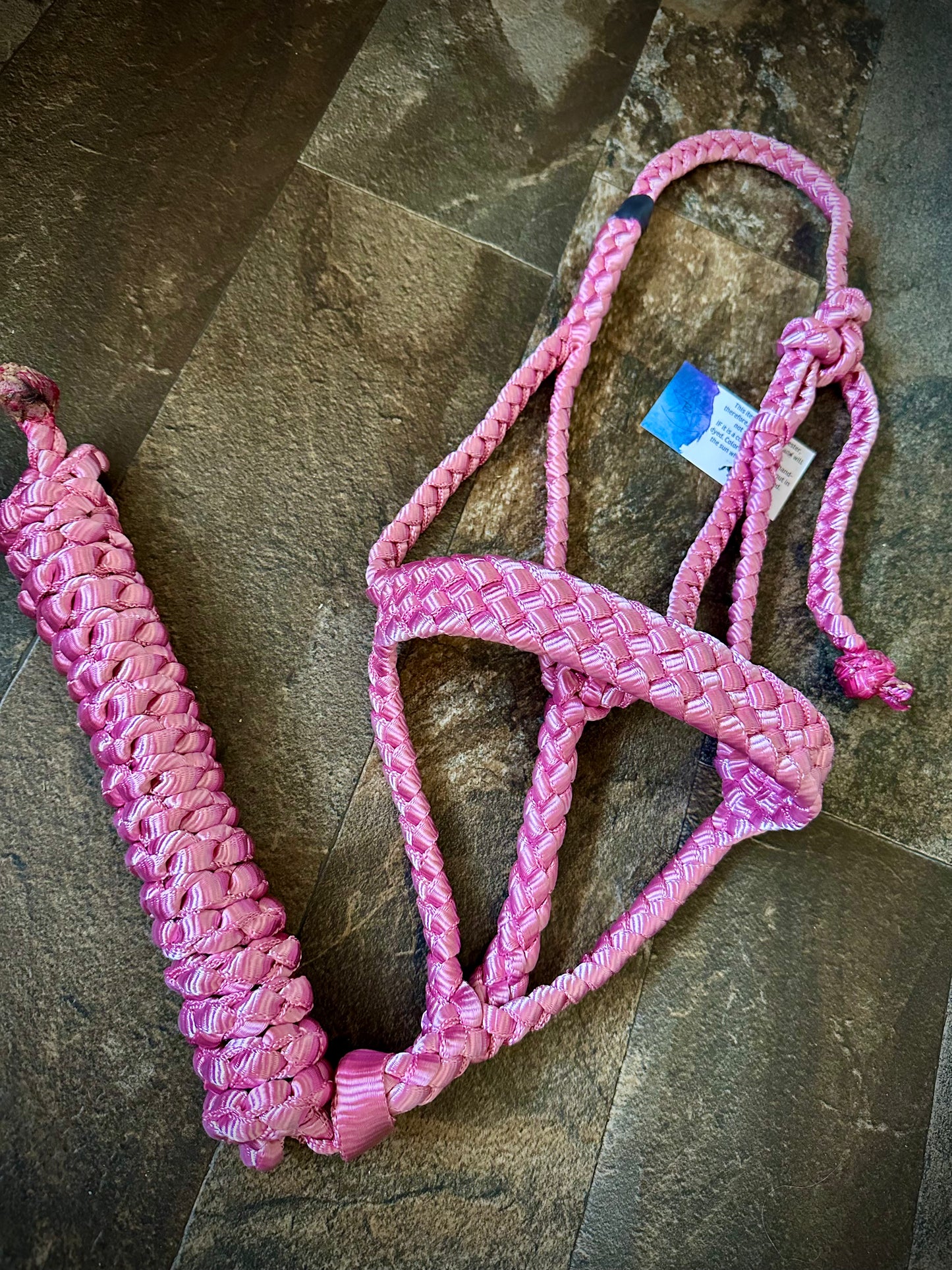 Muletape Halter w/Removable 10’ Lead - Pink