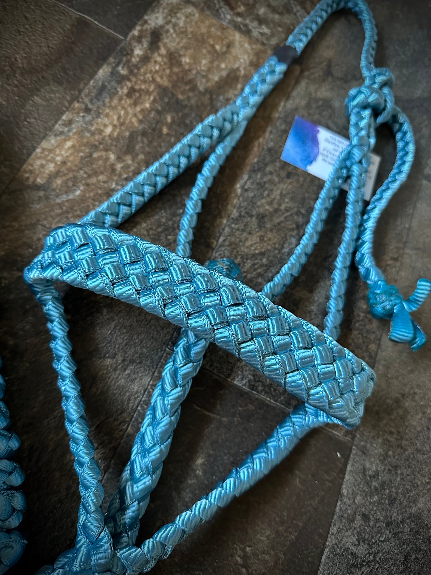 Muletape Halter w/Removable 10’ Lead - Teal/Blue