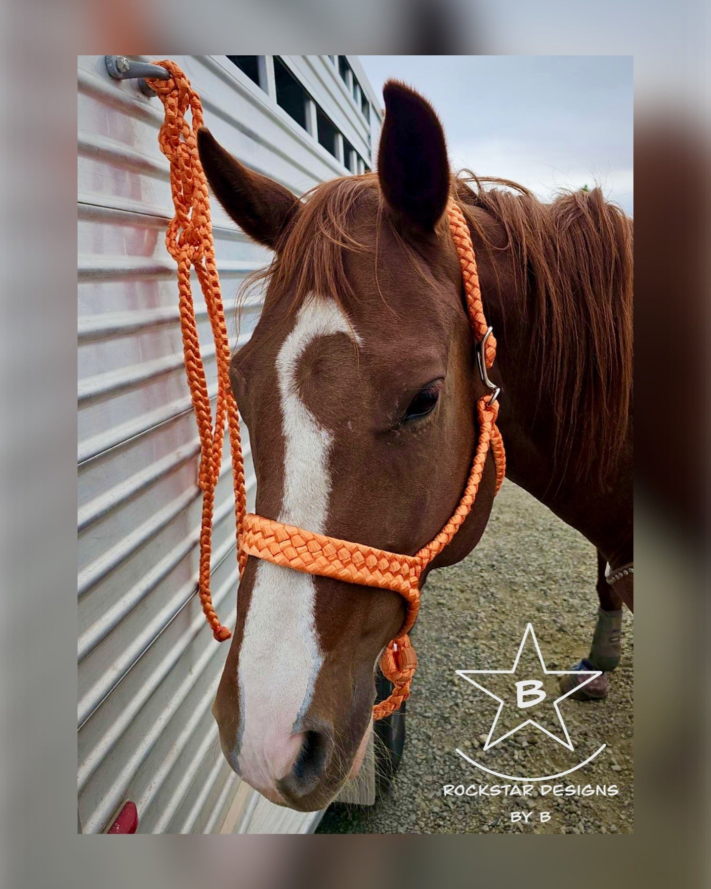 *Made to Order* - Quick-Release Muletape Halter w/Removable 9’ Lead - 1 Color - Average Horse