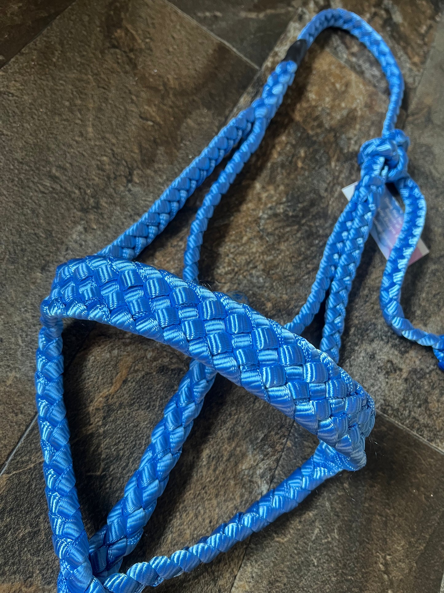 Muletape Halter w/Removable 9’ Lead - Blue - Average Horse - RTS
