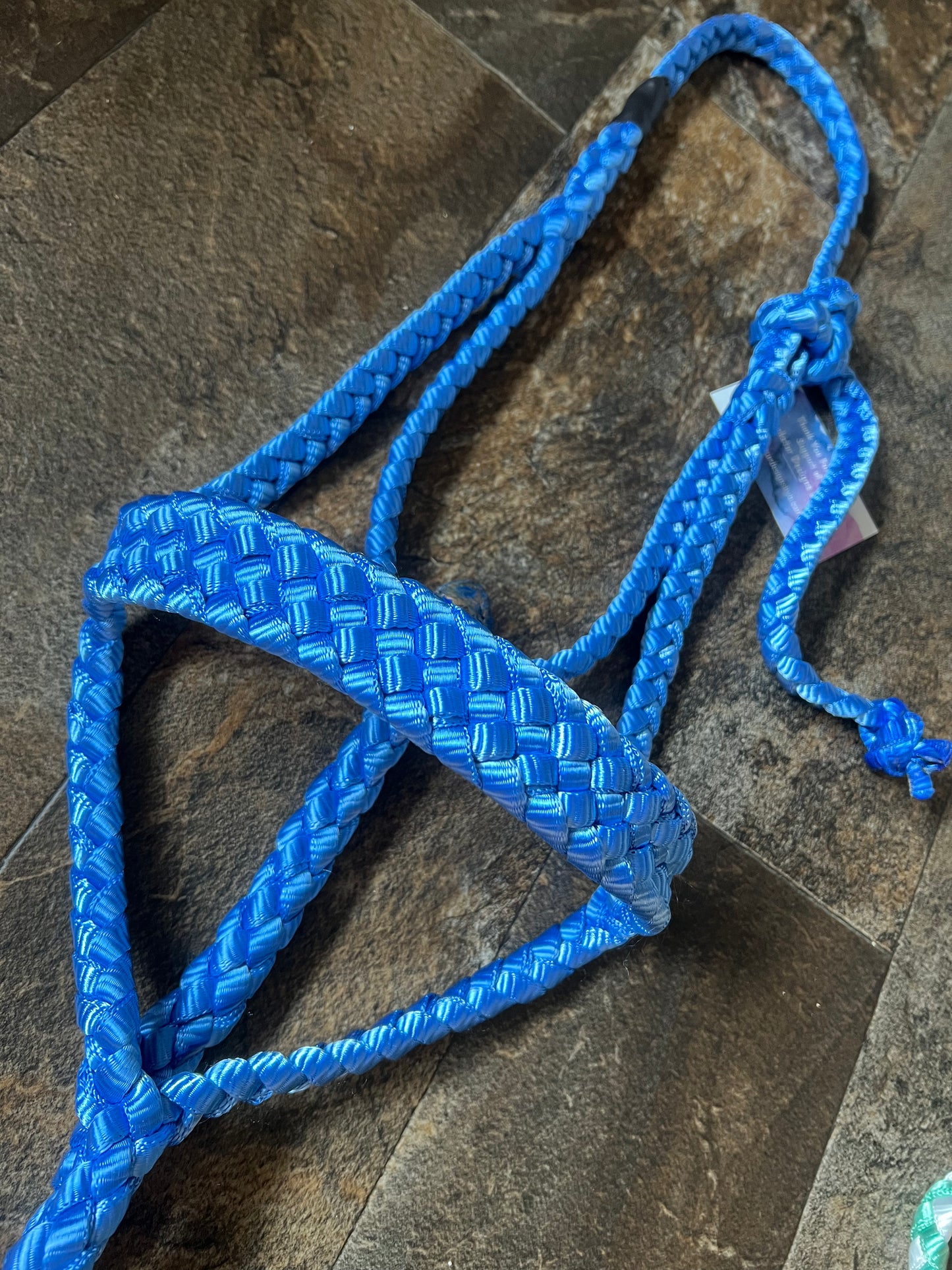 Muletape Halter w/Removable 9’ Lead - Blue - Average Horse - RTS