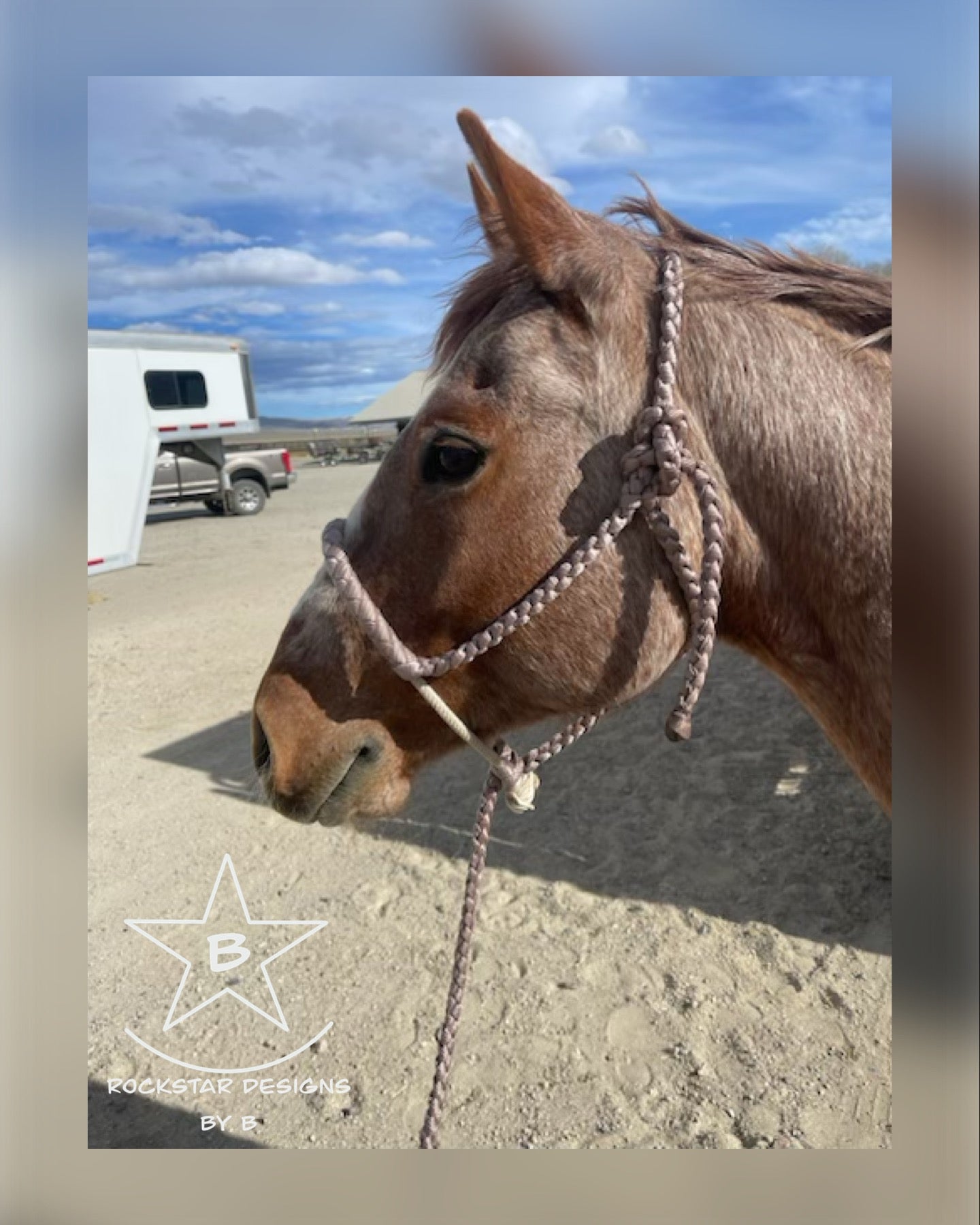 *Made to Order* - Lariat Muletape Halter w/Removable 10’ Lead - 1 Color - Average Horse