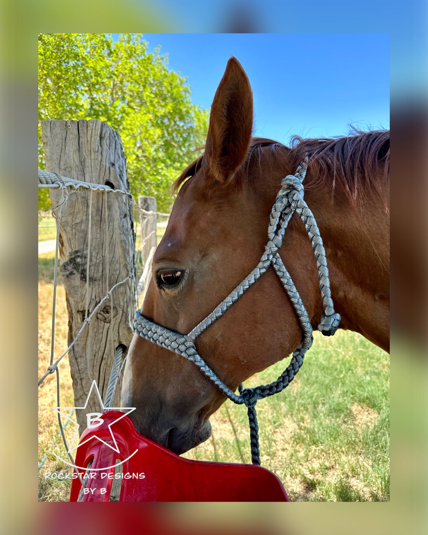 *Made to Order* - Muletape Halter w/Removable 9’ Lead - 1 Color - Average/Horse