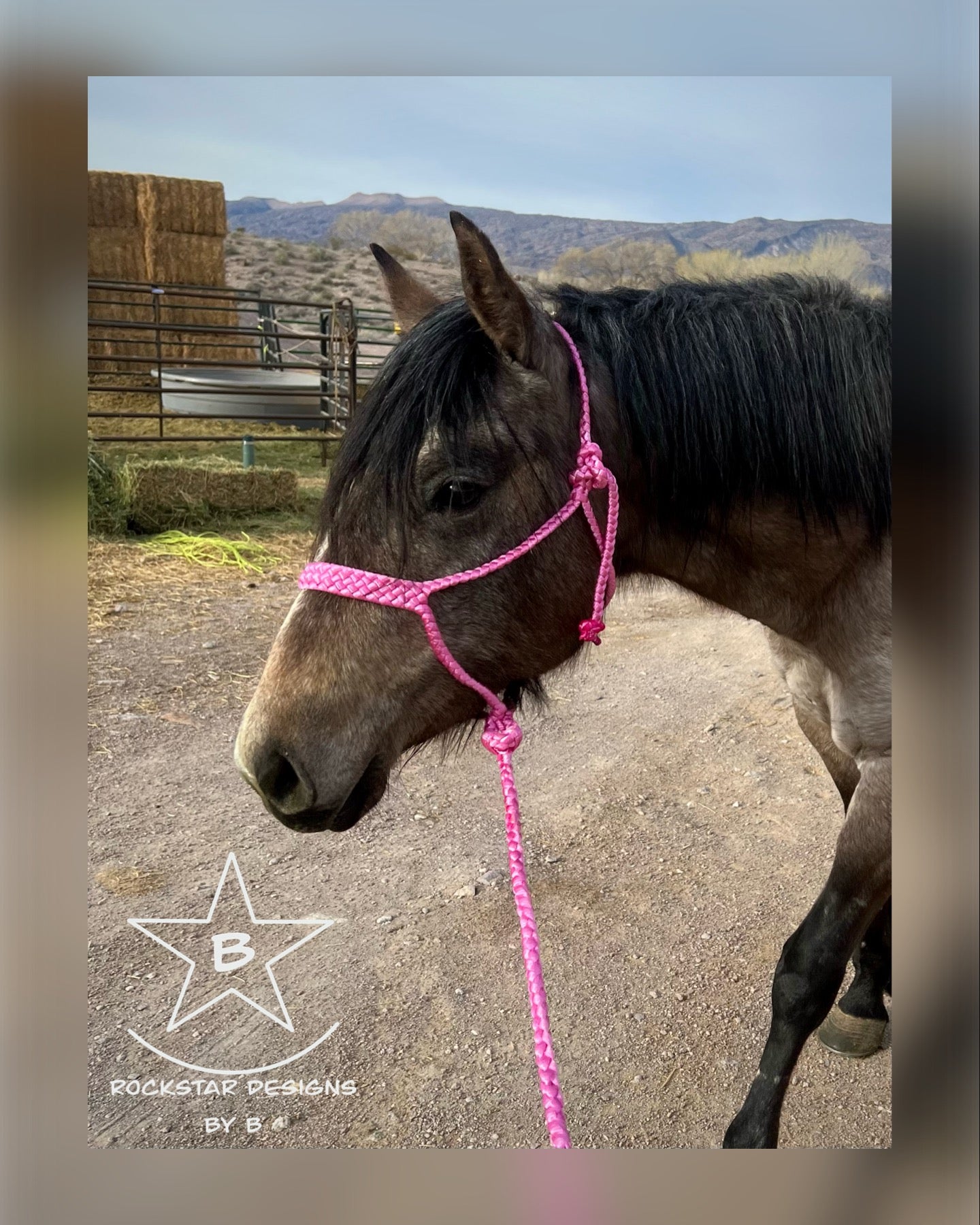 *Made to Order* - Muletape Halter w/Removable 9’ Lead - 1 Color - Average/Horse