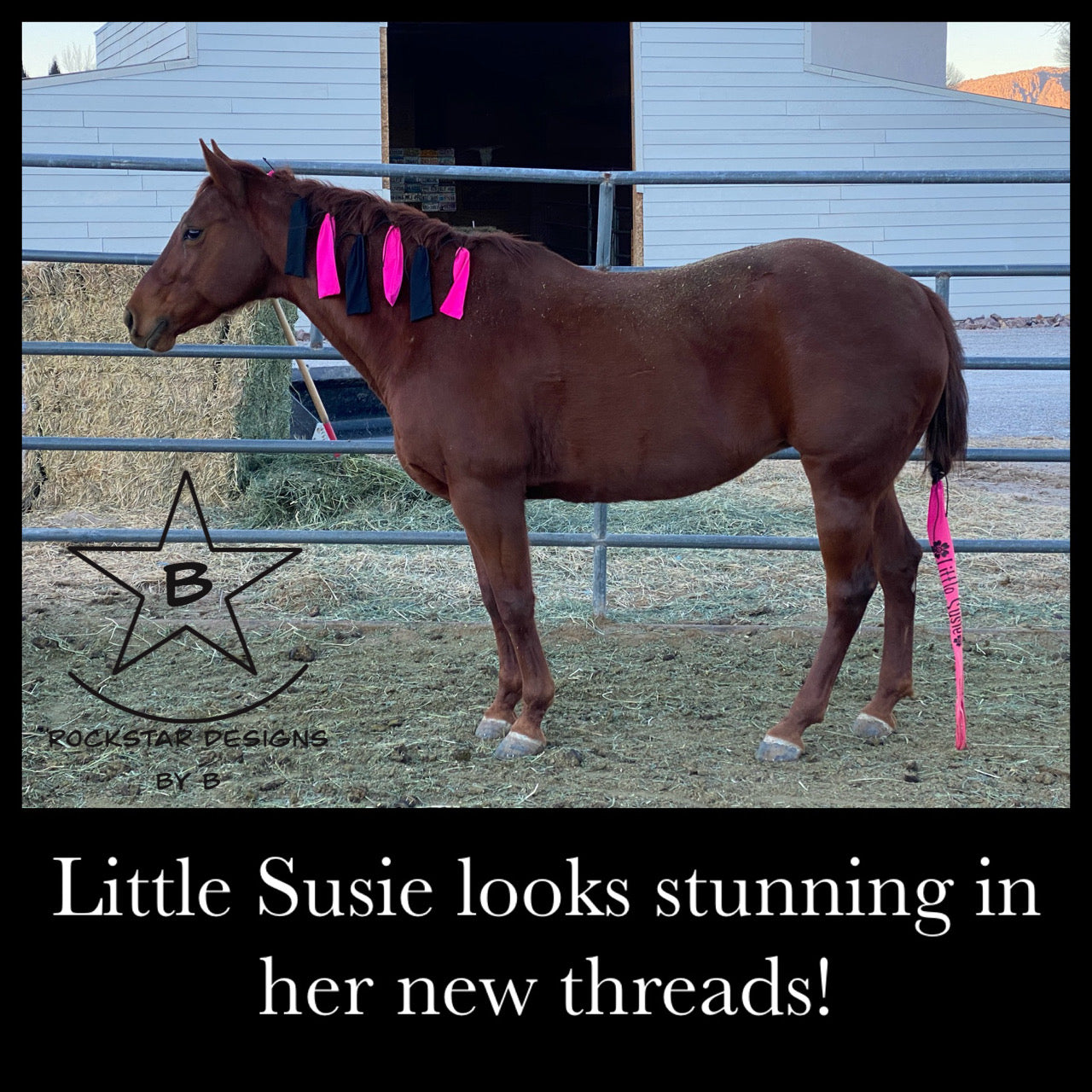 Solid Colors - Made to Order Mane Bags