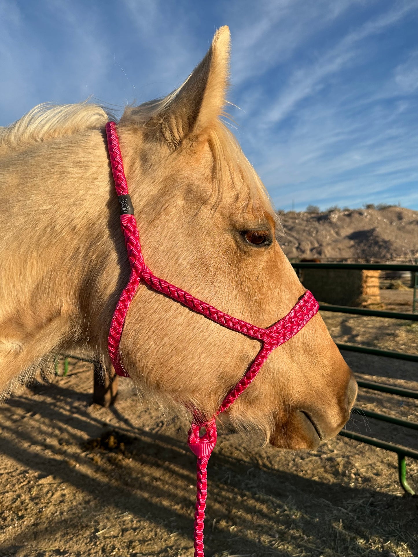 *Made to Order* Muletape Halter w/10’ Removable Lead -Average Horse