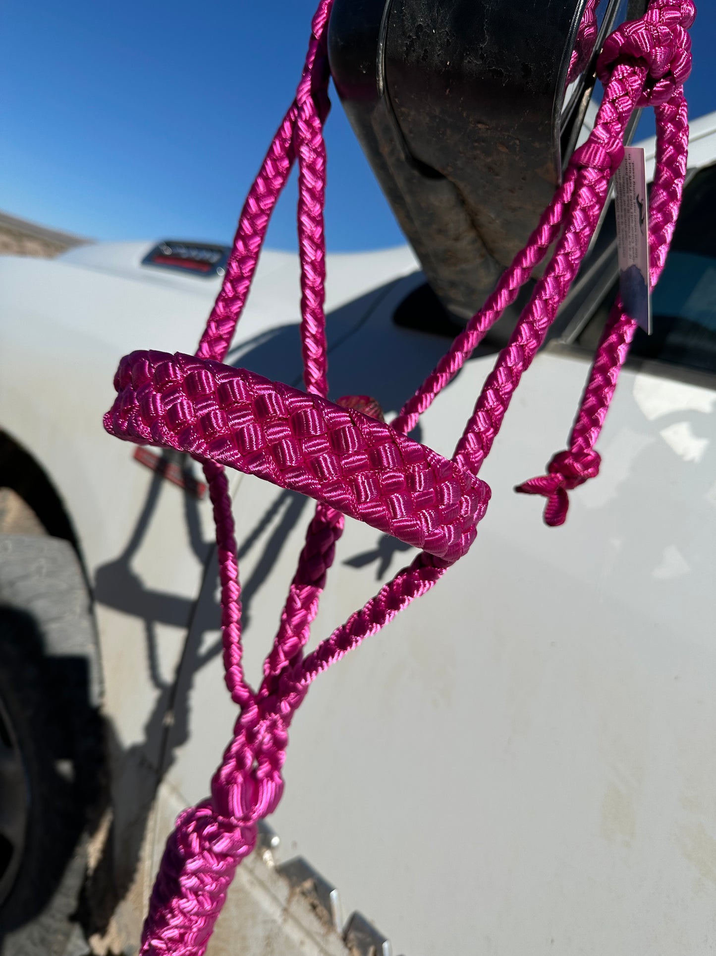 Muletape Halter w/10’ Removable Lead - Magenta - RTS