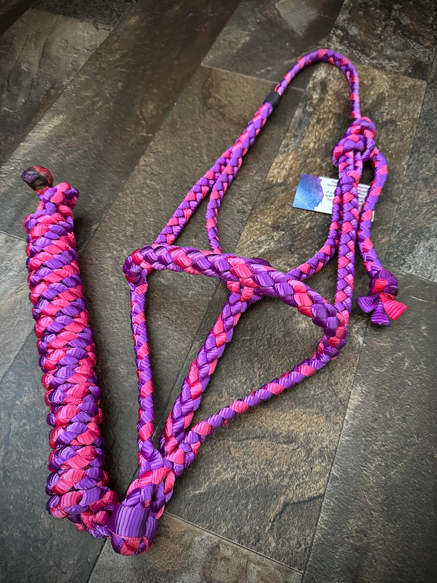 Rolled Nose Muletape Halter w/Removable 10’ Lead - Violet & Berry Pink - RTS
