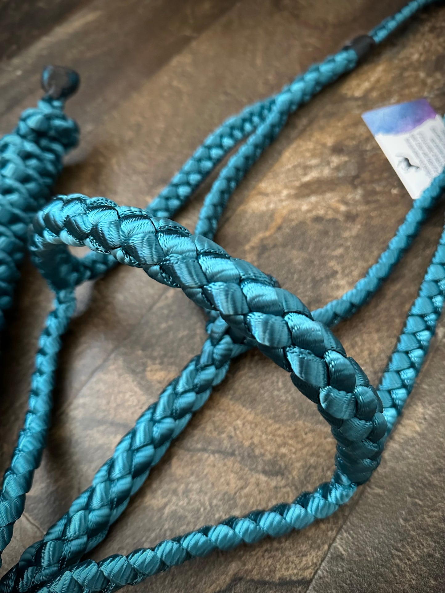 Rolled Nose Muletape Halter w/Removable 10’ Lead - Teal - RTS