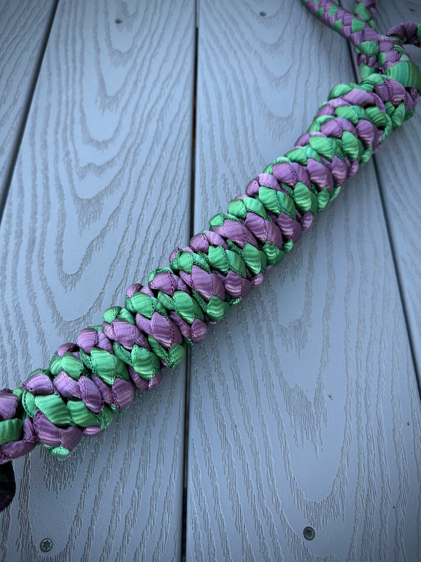 Rolled Nose Muletape Halter w/Removable 10’ Lead - Plumb Wine & Green - RTS