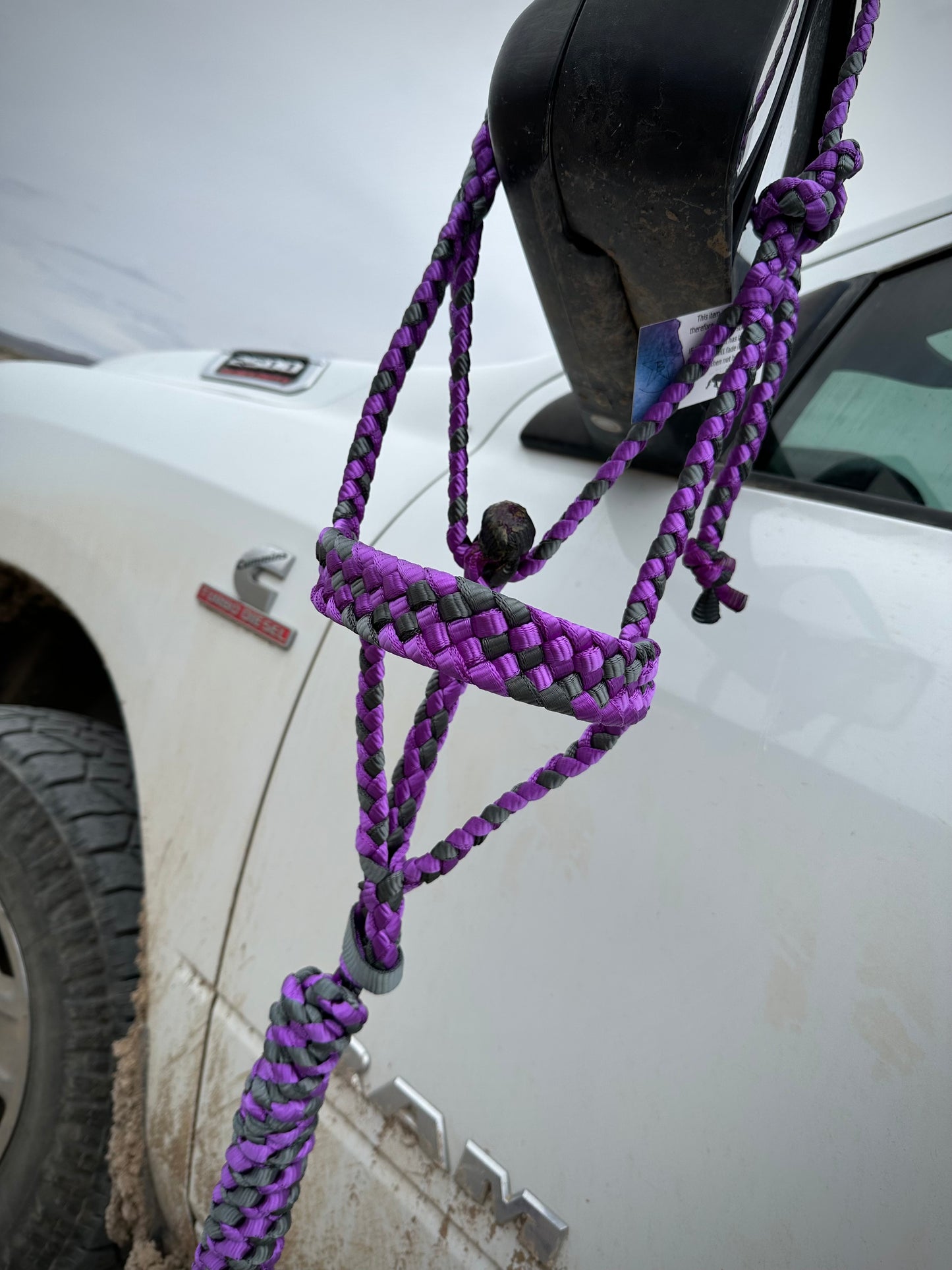 Muletape Halter w/Removable 10’ Lead - Violet & Gunmetal