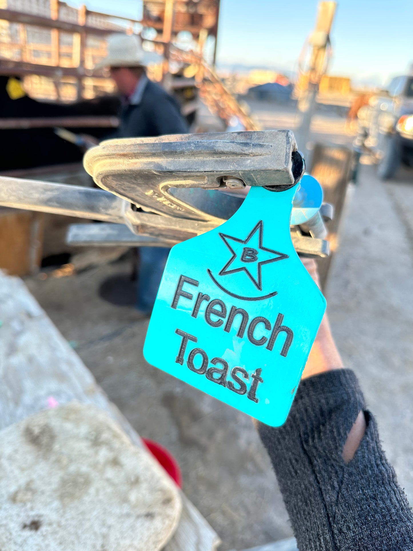 Ear Tags - Sz. Large - 1-10 count Order (Message for Larger Quantity Orders)