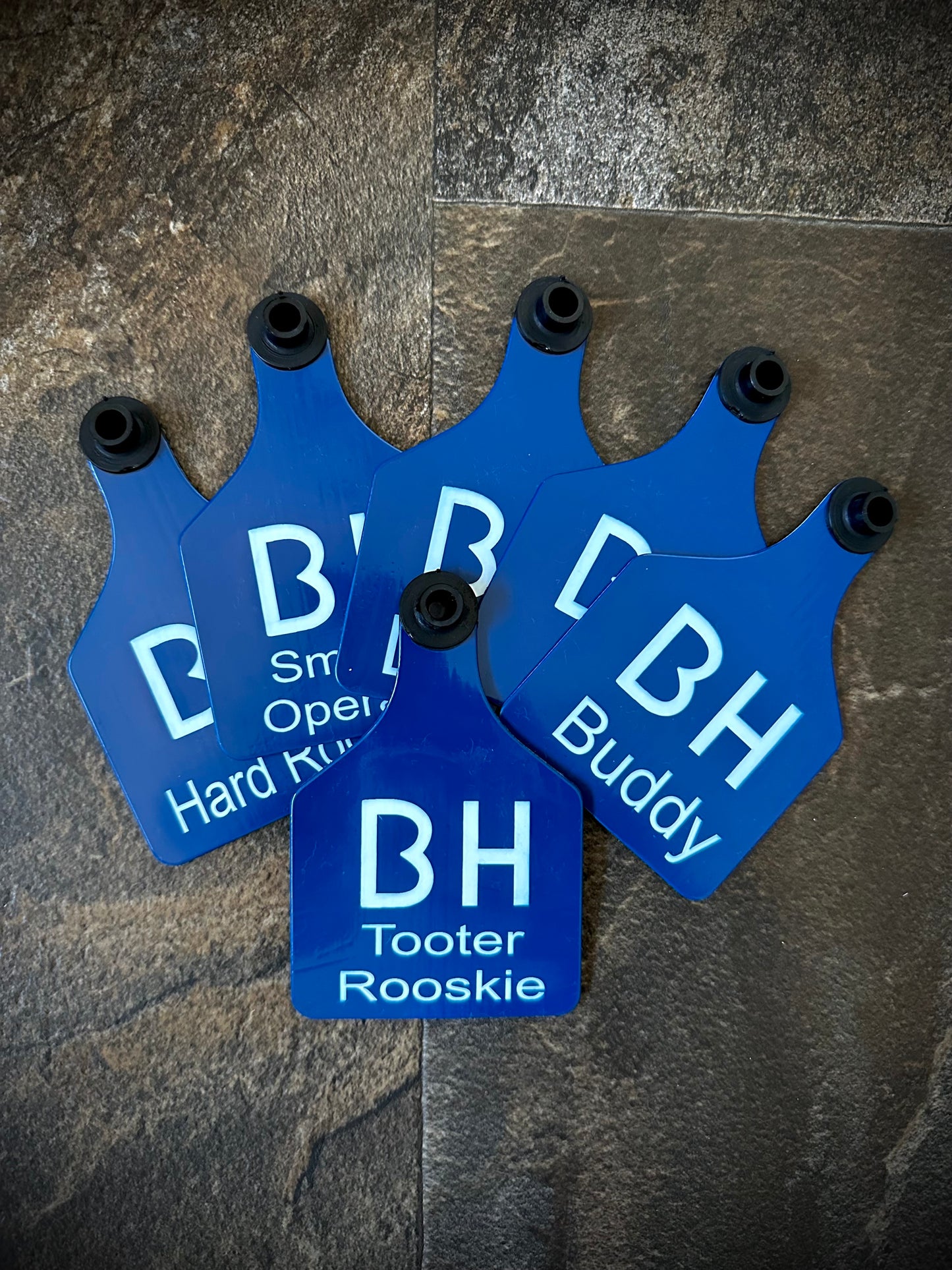 Ear Tags - Sz. Large - 1-10 count Order (Message for Larger Quantity Orders)