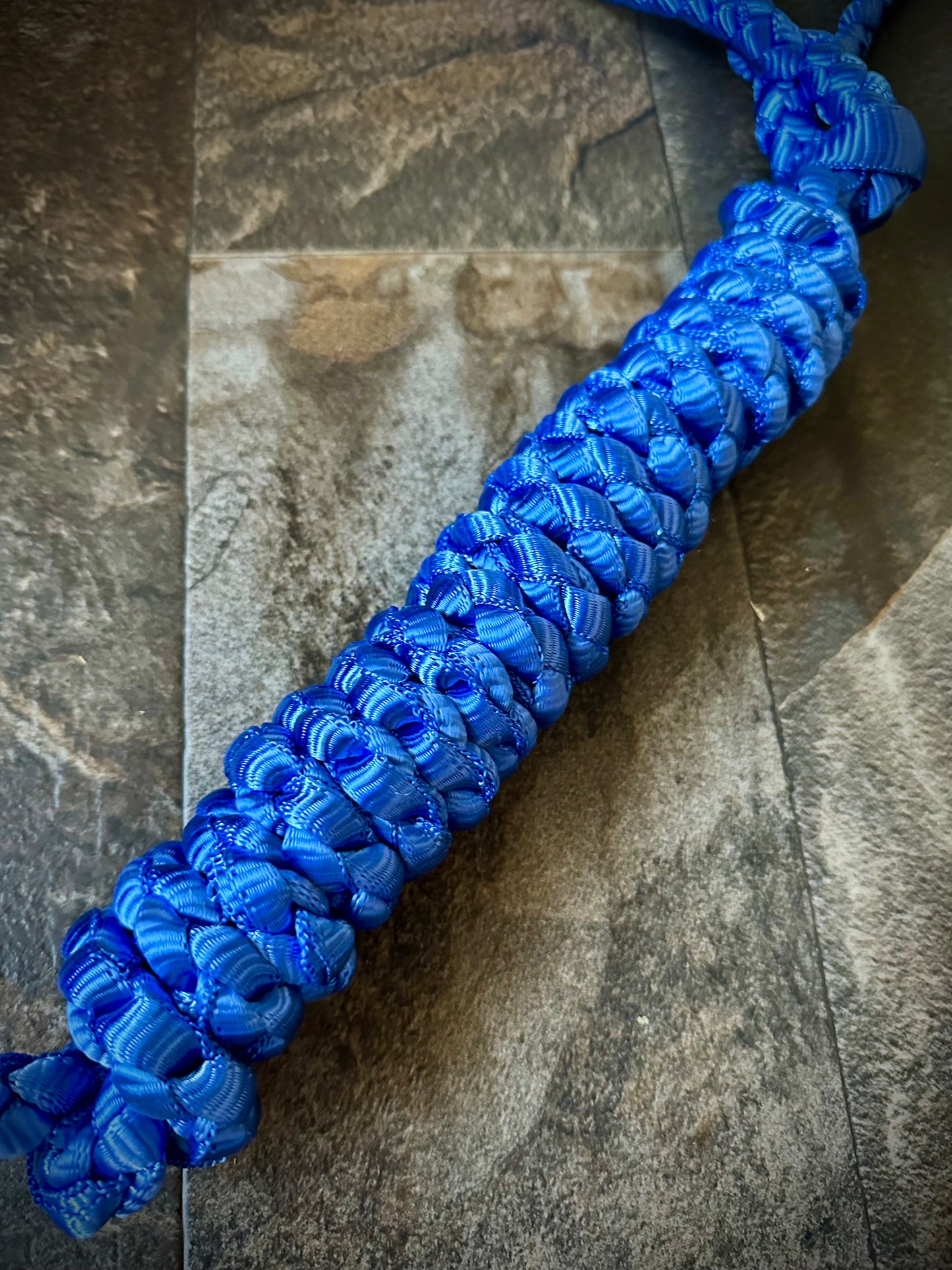 Muletape Halter w/Removable 10’ Lead - Royal Blue - RTS