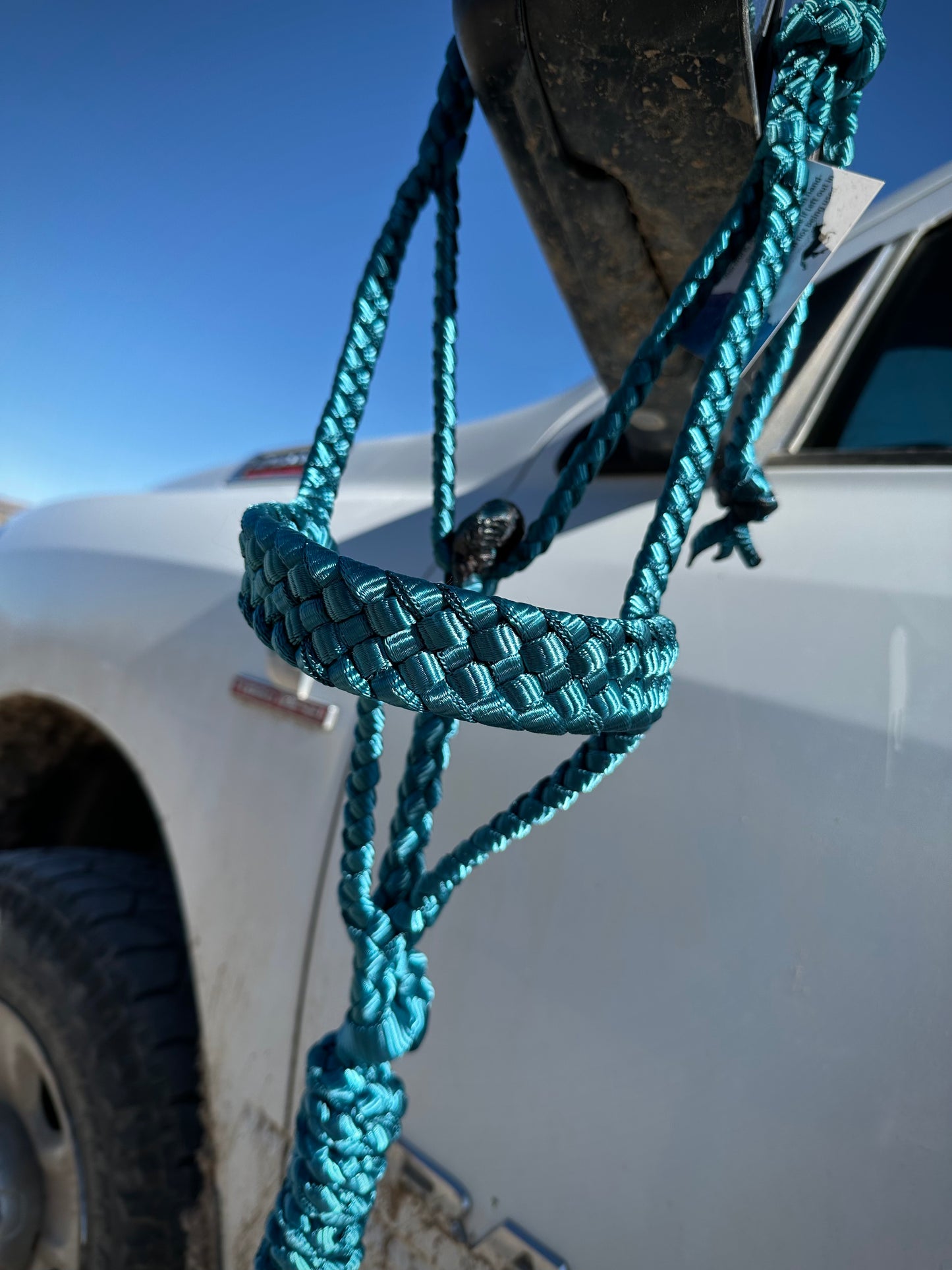 Muletape Halter w/Removable 10’ Lead - Teal