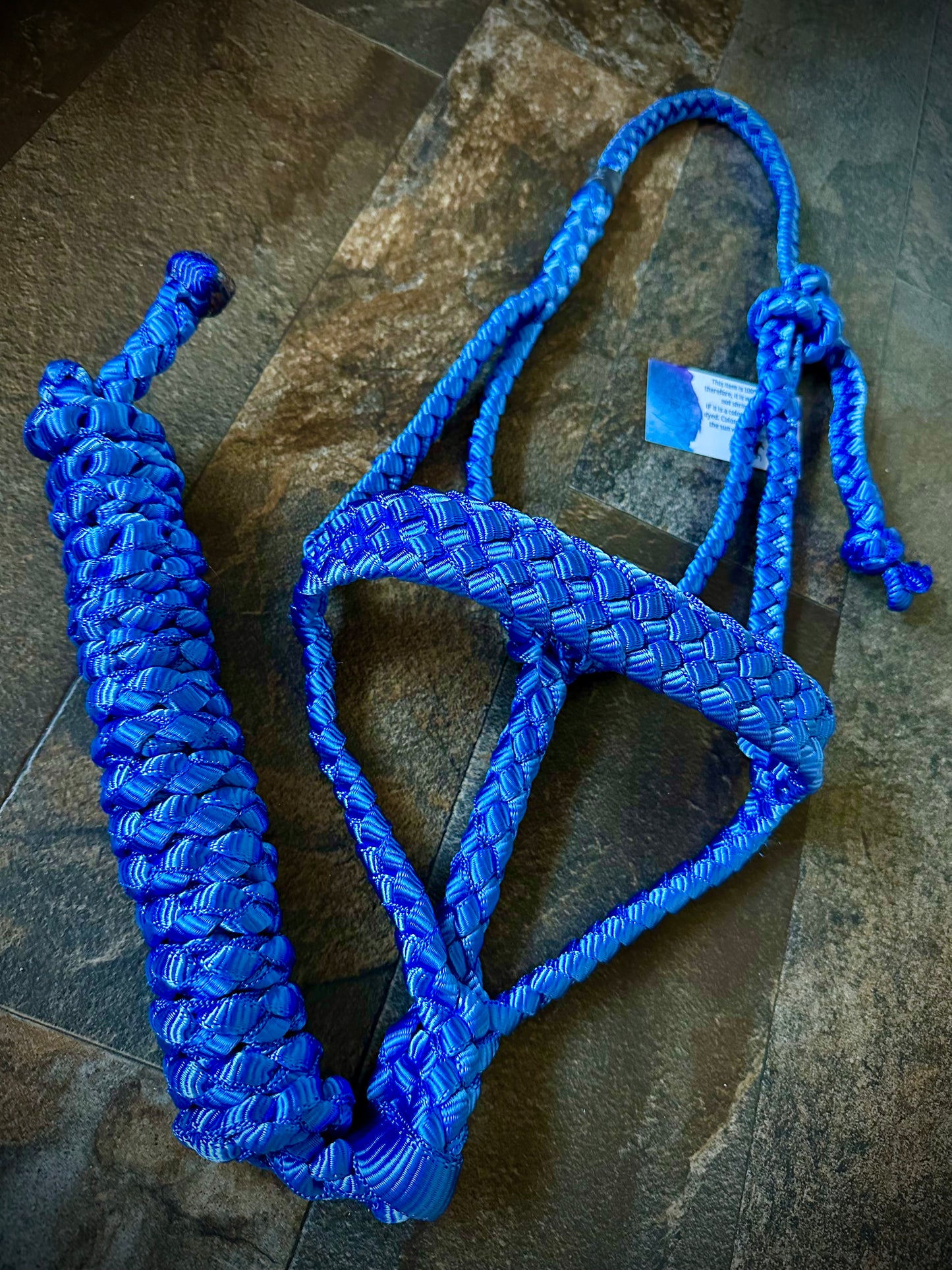 Muletape Halter w/Removable 10’ Lead - Royal Blue - RTS