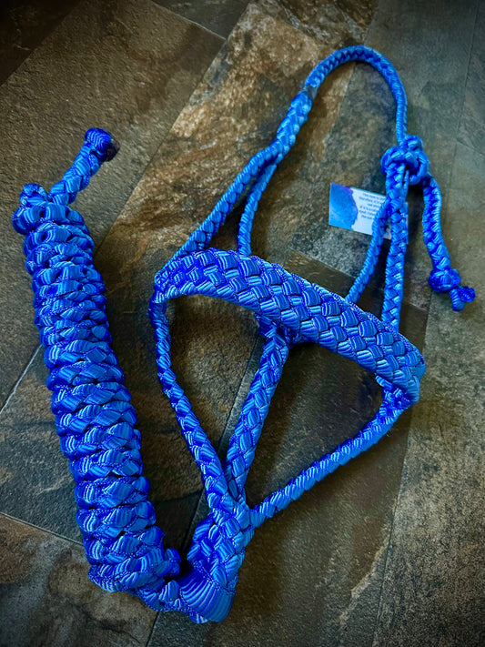 Muletape Halter w/Removable 10’ Lead - Royal Blue - RTS