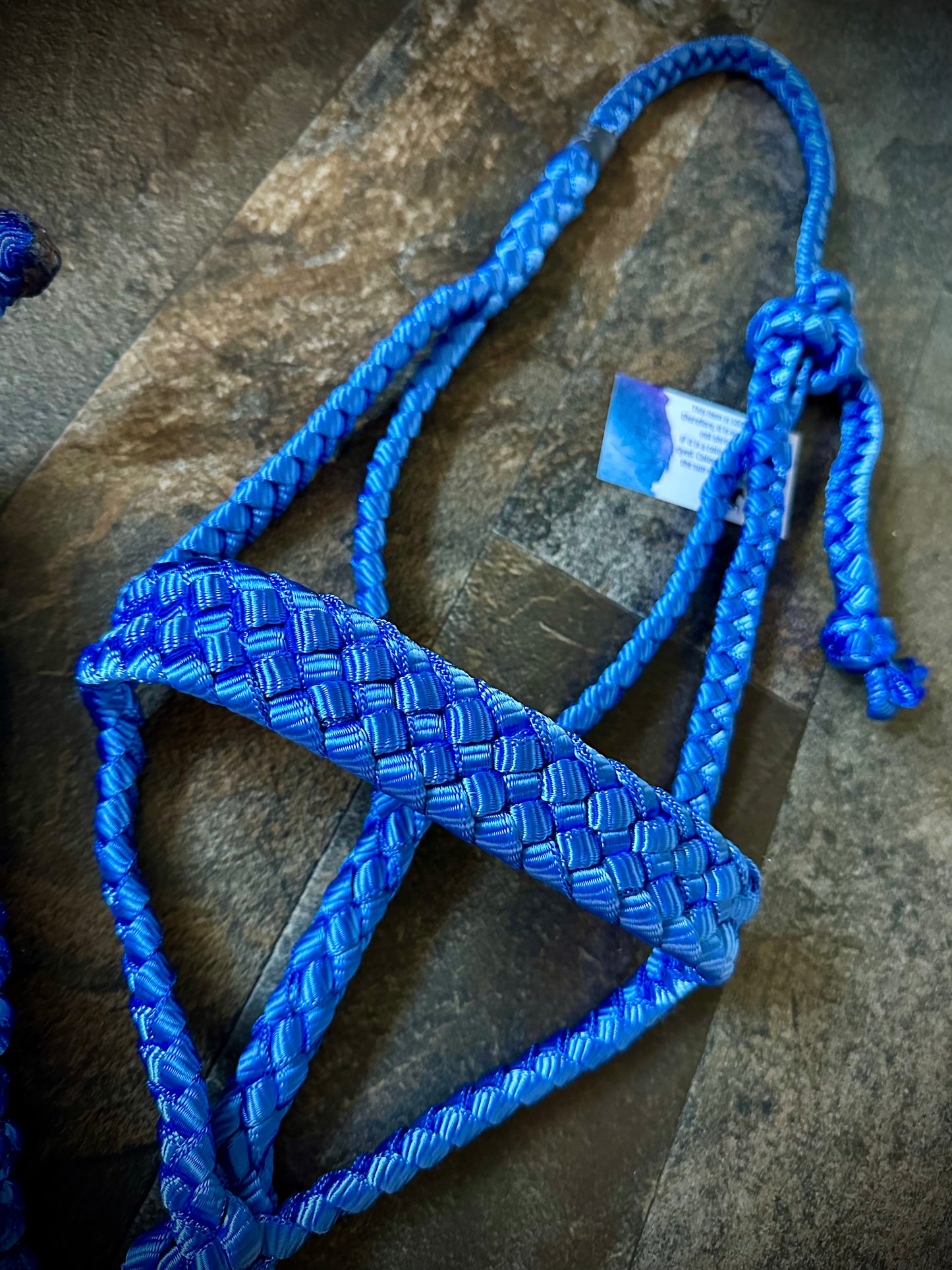 Muletape Halter w/Removable 10’ Lead - Royal Blue - RTS