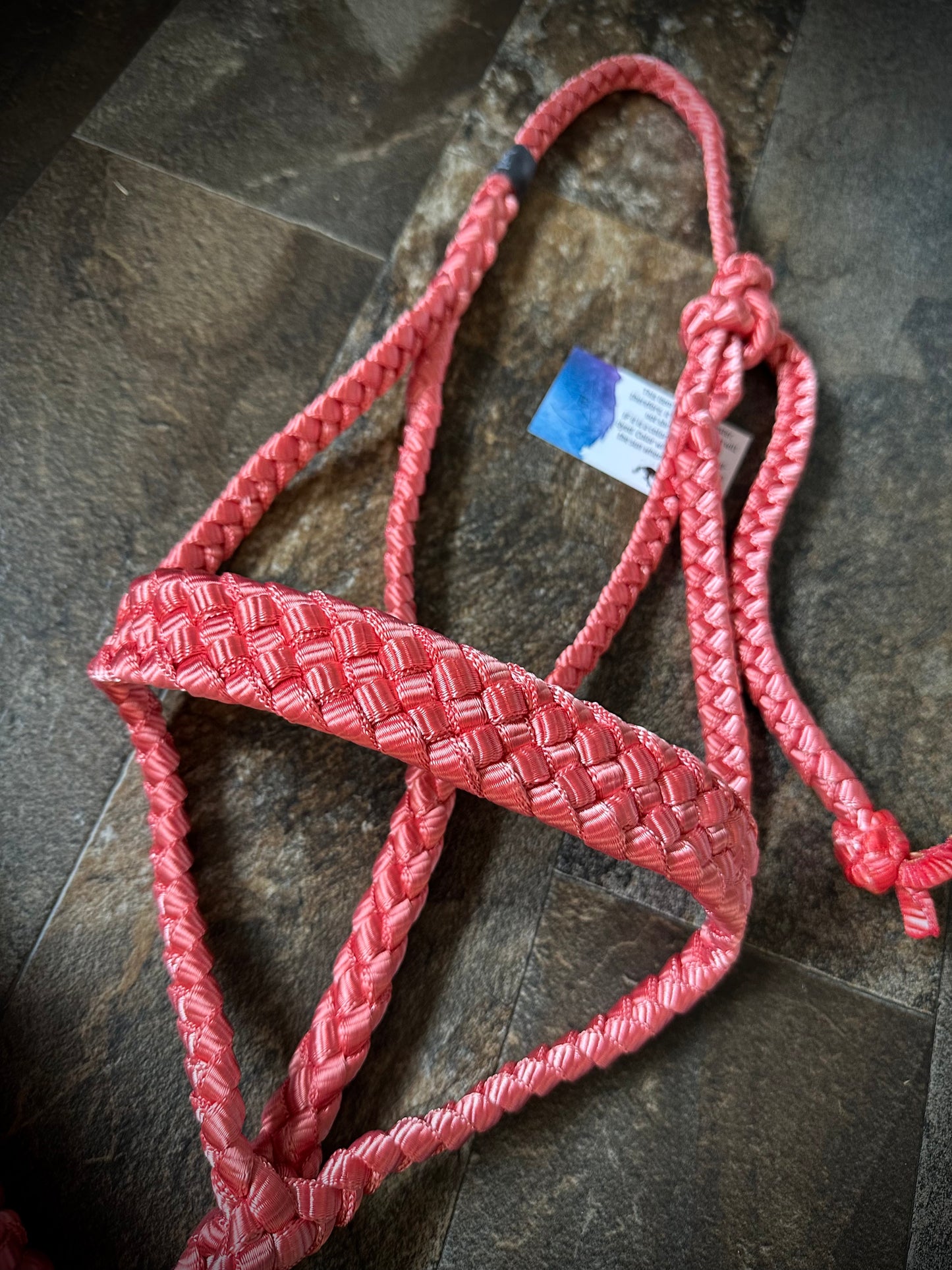 Muletape Halter w/Removable 10’ Lead - Rosy Red