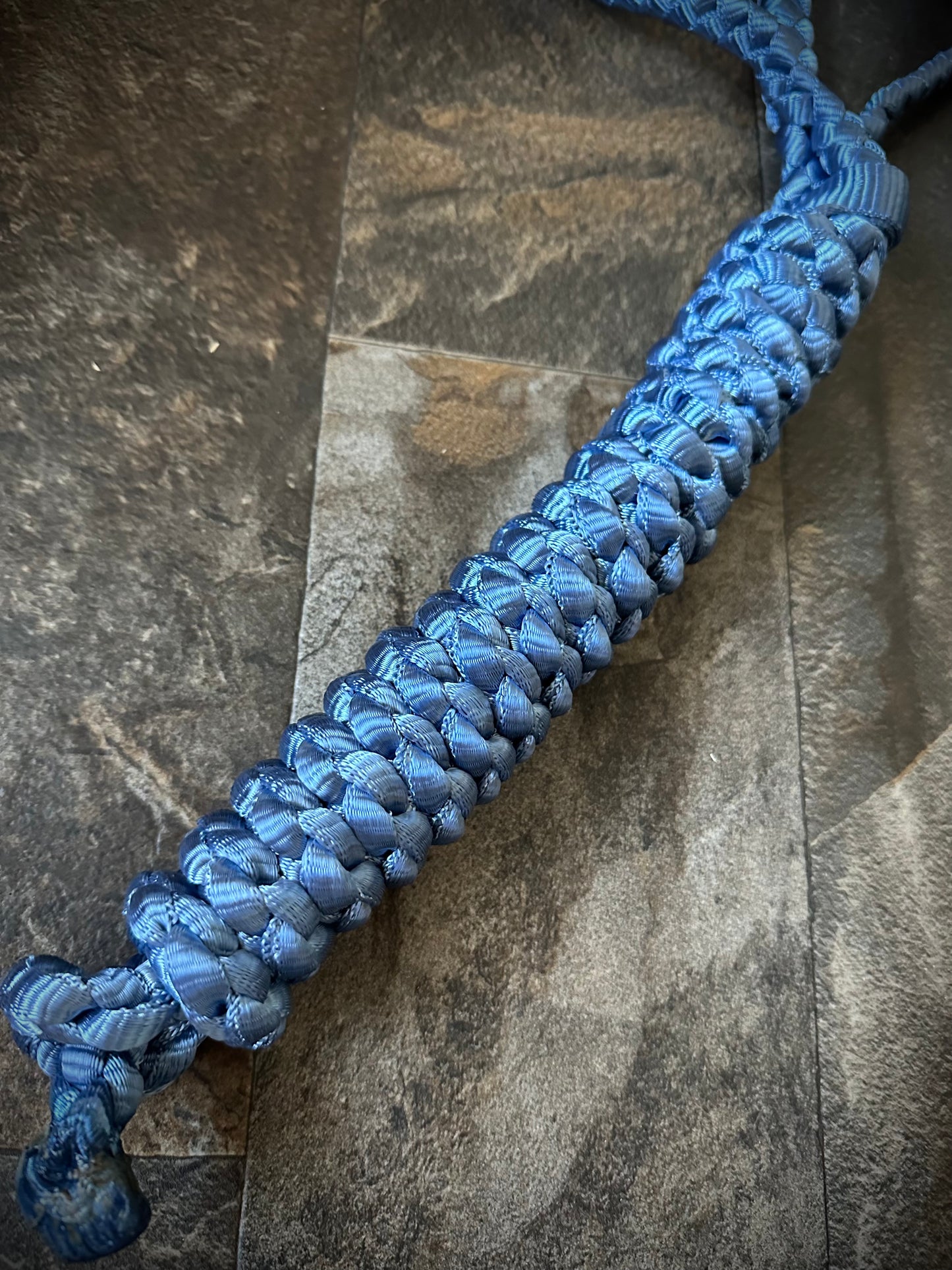 *Made to Order* - ‘Nose-less’ Muletape Halter w/Removable 10’ Lead - 1 Color - Average Horse