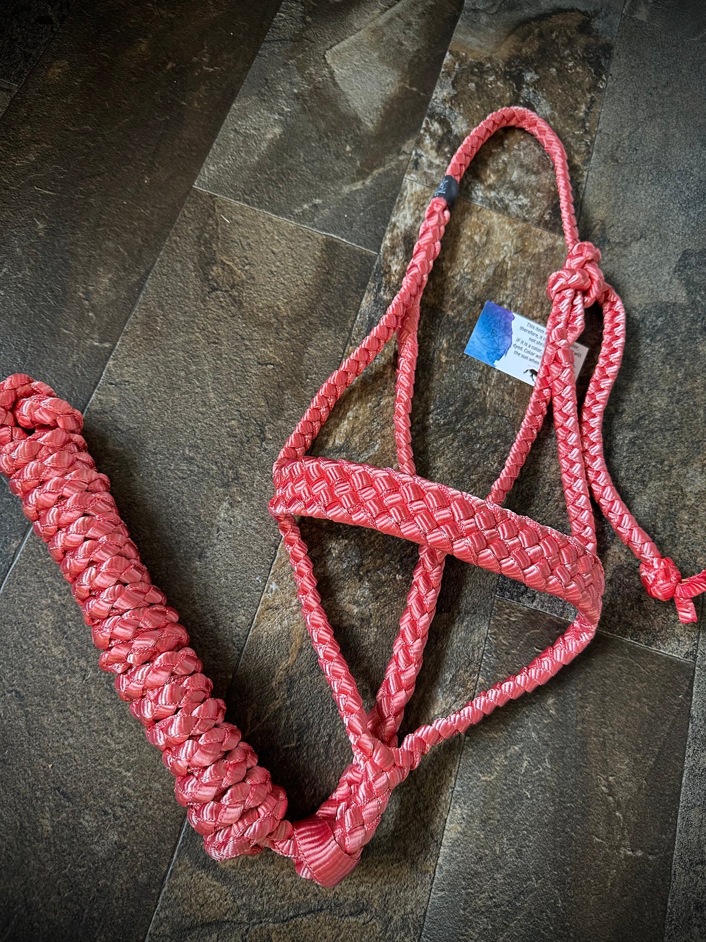Muletape Halter w/Removable 10’ Lead - Rosy Red