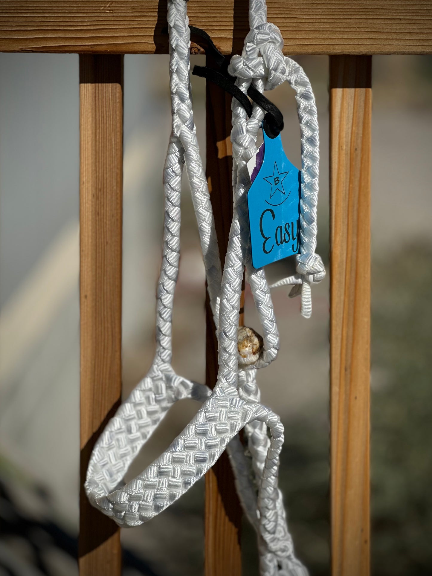 Ear Tags - Sz. Large - 1-10 count Order (Message for Larger Quantity Orders)