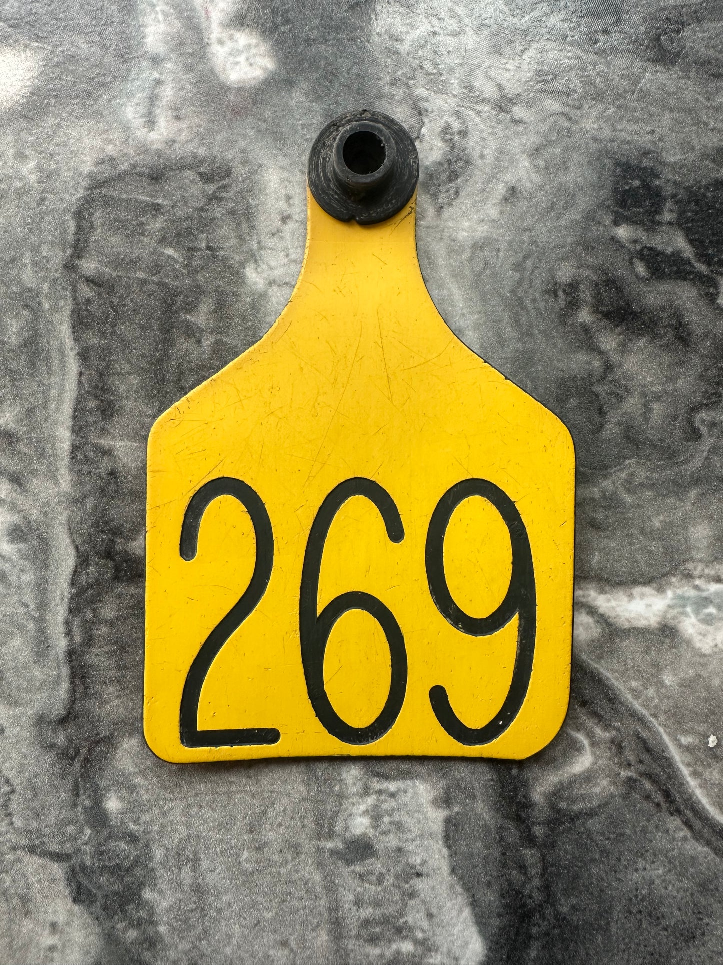 Ear Tags - Sz. Large - 1-10 count Order (Message for Larger Quantity Orders)