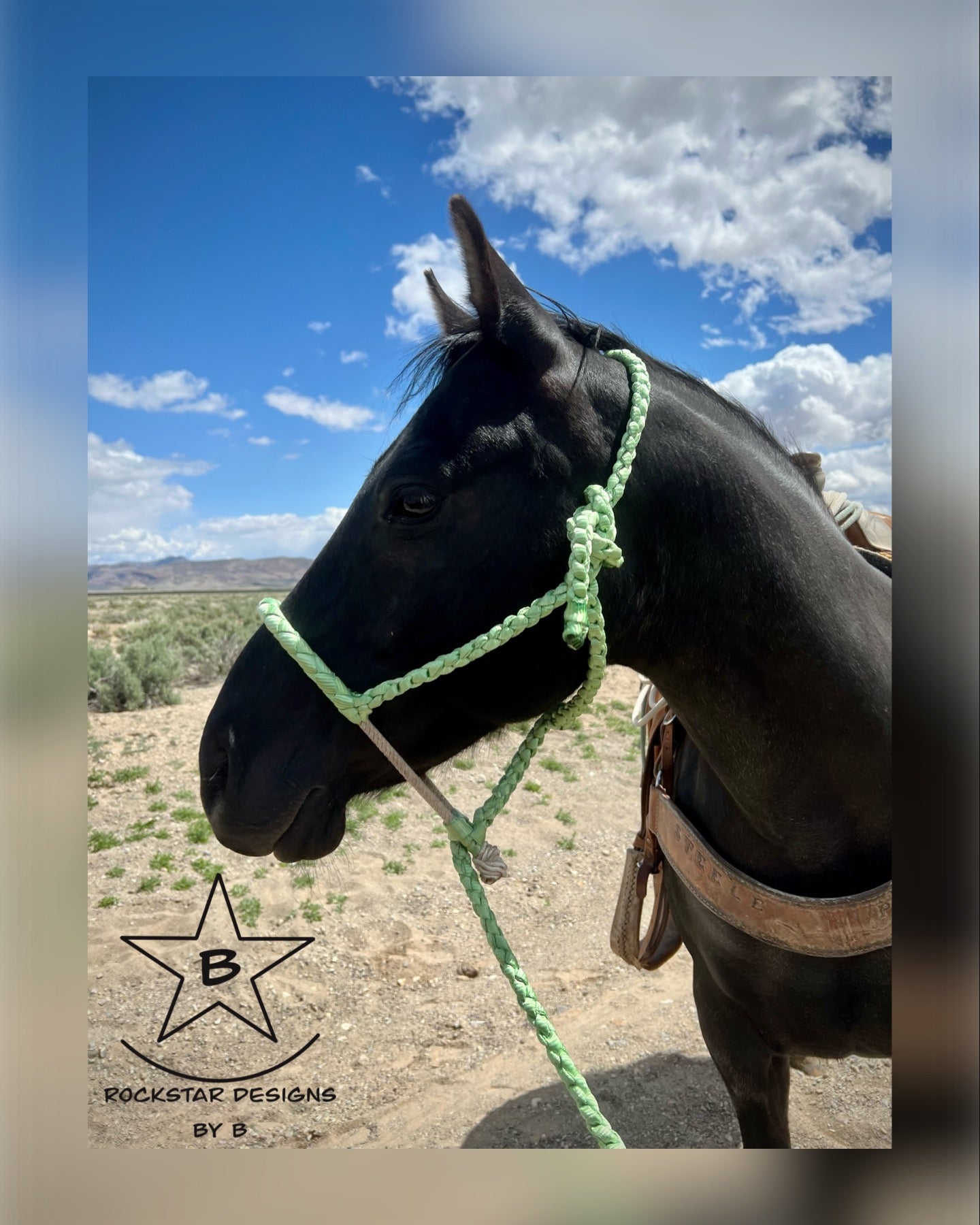 Made to Order - Braided Lariat Nose Muletape Halter w/10’ Lead - Average Horse - 1 Color