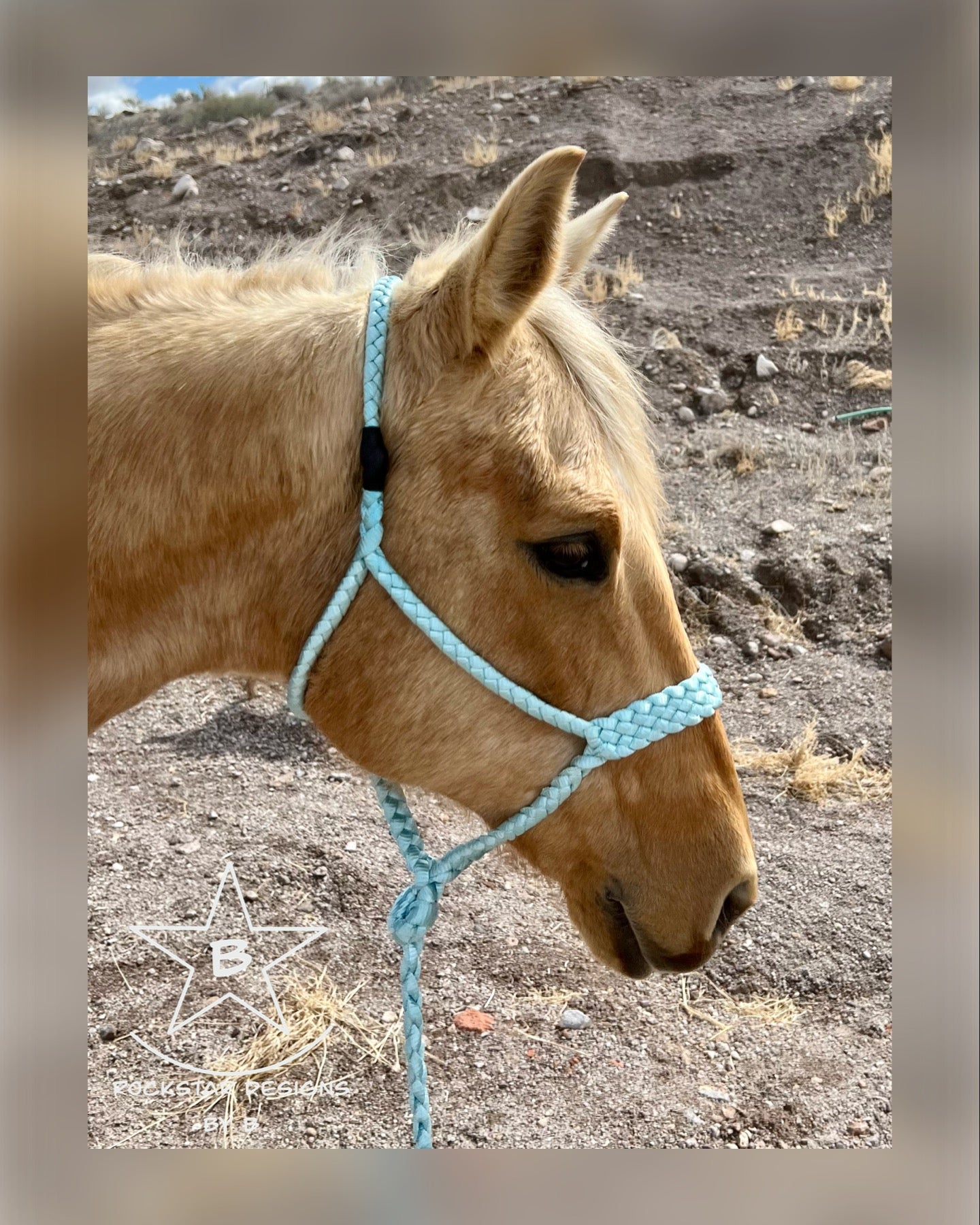 Mule Tape Halter w/10’ Lead - Light Teal